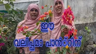 ഇതാണ് ഞമ്മള് കൊടുക്കുന്ന അ Adarna#minivlog #yutube #video #kerala 