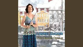 18 Etudes for Flute, Op. 41: 16. Moderato