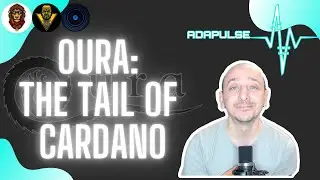 AdaPulse News - Oura: The Tail of Cardano. Looking at blockchain for patterns of particular events