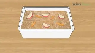 Как разводить мучных червей