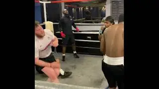 Matt Marsh Boxing