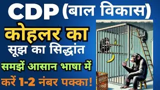 कोहलर का सूझ का सिद्धांत| Kohler's Insight Learning Theory| Insight Learning Theory| #cdp #baalvikas