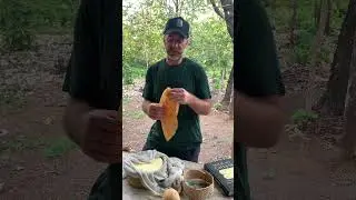 David Asher no Brasil: cursos de queijos naturais