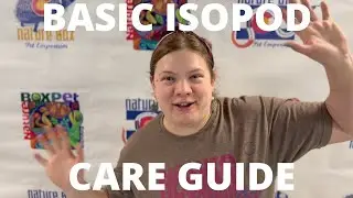 How to care for isopods.