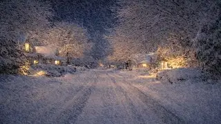Winter Blizzard Sounds and Howling Winds | Relaxing Night Snowstorm Ambience for Sleeping
