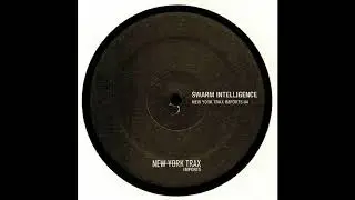 Swarm Intelligence - Extraction [NYTI04]