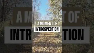 🌸 A Journey of Introspection Through Nature and Art