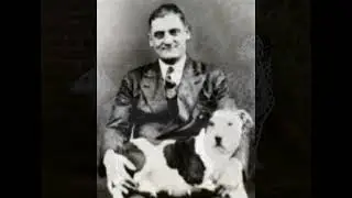 From Bull-and-Terrier to Bull Terrier