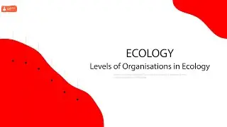 L2: Levels of Organisations in Ecology - Ecology Concept [ENVS-L002]