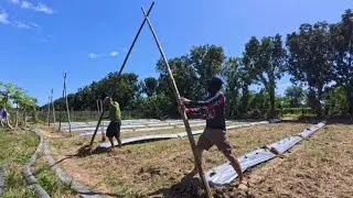 KAKAIBANG BALAG NG AMPALAYA