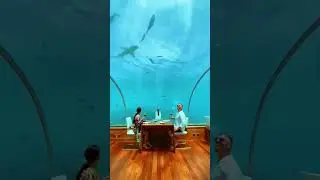 Подводный ресторан отеля Conrad Maldives на острове Рангали, Мальдивы