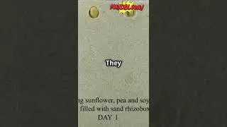 The Secret Language of Plants Explained