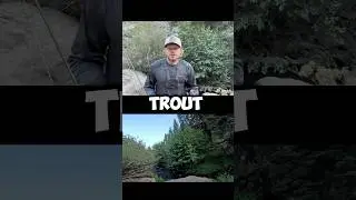 The Best Fly For Brook Trout Fishing!#flyfishing #brooktrout