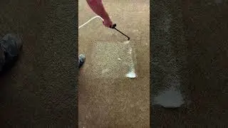 Oxi Fresh Carpet Cleaning
