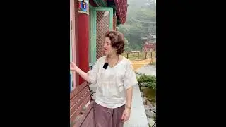 Ann Sterman on 2025 Korea Retreat for Classical Acupuncturists