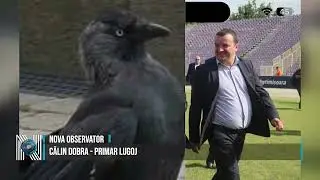 CONSULTANȚĂ PENTRU CIORI LA LUGOJ: &Icirc;N SF&Acirc;RȘIT BANII PUBLICI ZBOARĂ SPRE CE CONTEAZĂ CU ADEVĂRAT