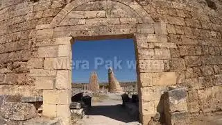 Rani kot documentary