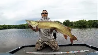 BIG TOPWATER MUSKY in COLD FRONT and STORMS on WISCONSIN RIVER!