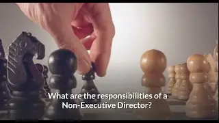 What are the duties/responsibilities of a Non-Executive Director (NED)?