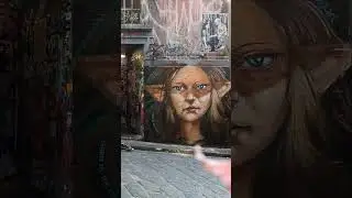 Incredible street Art Melbourne