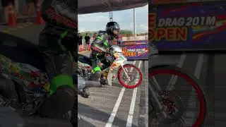 Sirius Mario Super Open lạc v&agrave;o bầy s&oacute;i