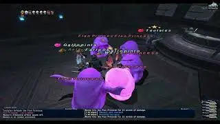 FFXI: Peach Power Battlefield - Finding our groove with PLD, GEO, SCH, DRK, COR X2