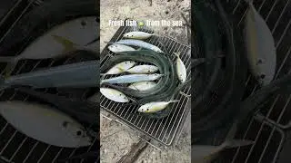 Fresh fish from the sea in Cambodia 🇰🇭