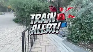 A Picturesque Train Ride through Descanso Gardens in Southern California!