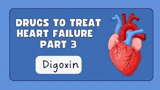 Digoxin (+ve Ionotrope) &bull; Drugs in heart failure&bull; Pharmacology