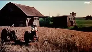 old tom