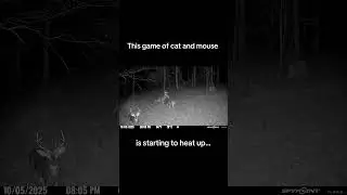 Getting closer and closer #wildlife #deerhunting #bowhunting #hunting #bow #whitetailhunting #rut