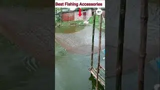 Unbelievable Fishing Method #Shorts