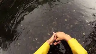 Denali Fly Fishing Trip