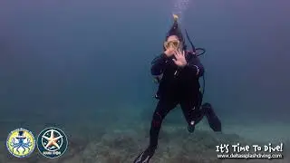 Dania Beach FL Diving! Jan '26