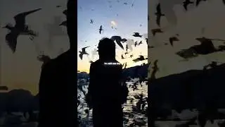 The Nights - Avicii | lyrics | aesthetic | english songs | Slowed | whatsapp status | speed up 🎶❤️🍃