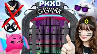 PK XD SIĞINAK YAPTIK👍 FLICKER VE AKUMALARDAN KORUNMA YERİ✌ | PK XD WE HAVE BUILT SHELTER👍 | ÖZGÜŞ TV