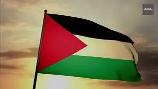 Im a Freedom Fighter NOT a Terrorist - Song Palestine