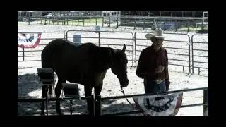 Skipper Calder & Cowboy-up Ministry bring horse training with a message at 11am.