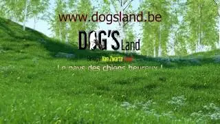 Elevage et pension canine &agrave; Sombreffe ! www.dogsland.be
