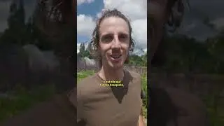 C'est ici le paradis ?