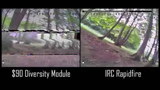Testing RapidFire in the Forest - Amazing!