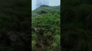 #Shorts|Palkulamedu, Idukki,Kerala tourist place