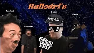 Hallodri's