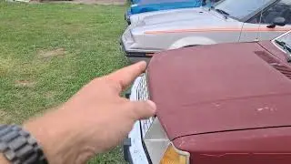 Ford EXP vs Escort       1981-1985