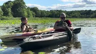 Catching the big Bowfin in Lake Champlain #kayakfishing #LakeChamplain #bowfinfishing