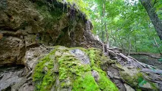 Elk River Hiking Trail To The Waterfall