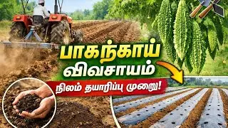 How to prepare land - healthy bittergaurd cultivation ஆரோக்கிய பாகற்காய் சாகுபடிக்கு நிலம் தயாரிப்பு