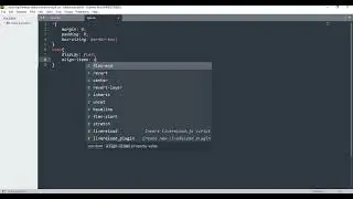 Shake Animation on Invalid Input | HTML & CSS | Short Tutorial