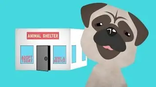 The Cost of Animal Care Laws