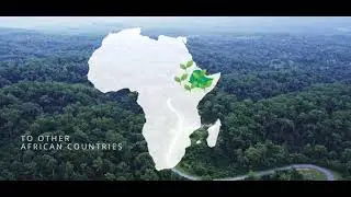 This is Ethiopia's  Ethiopian Green Legacy